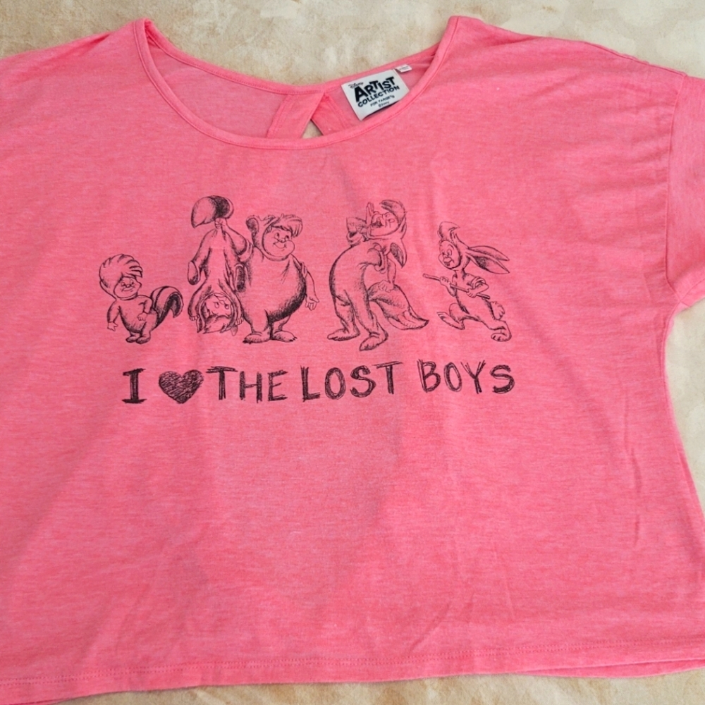 PETER PAN - LOST BOYS - DISNEY
